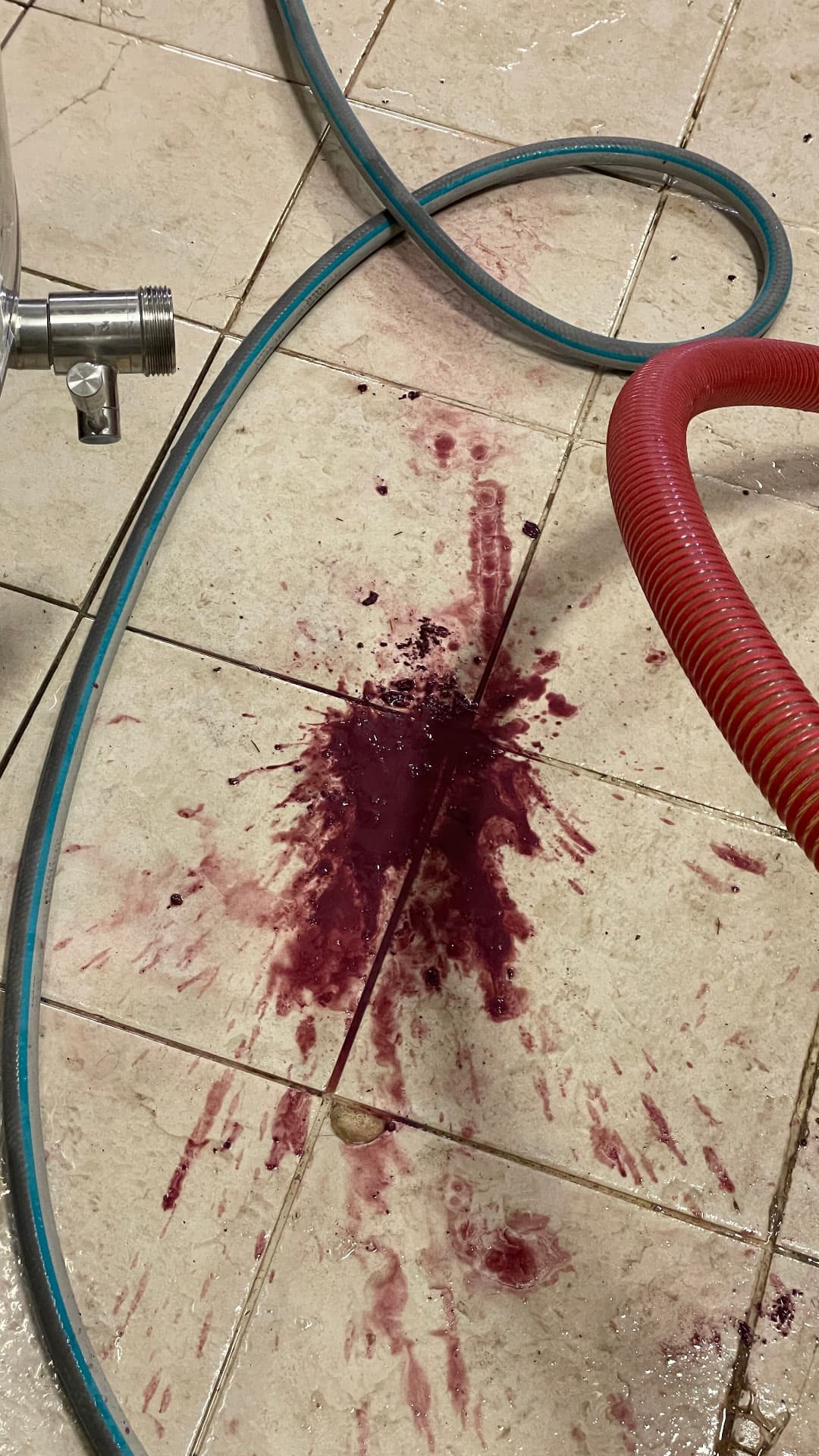 Tache de vin rouge éclaboussée sur un carrelage, près d'un tuyau