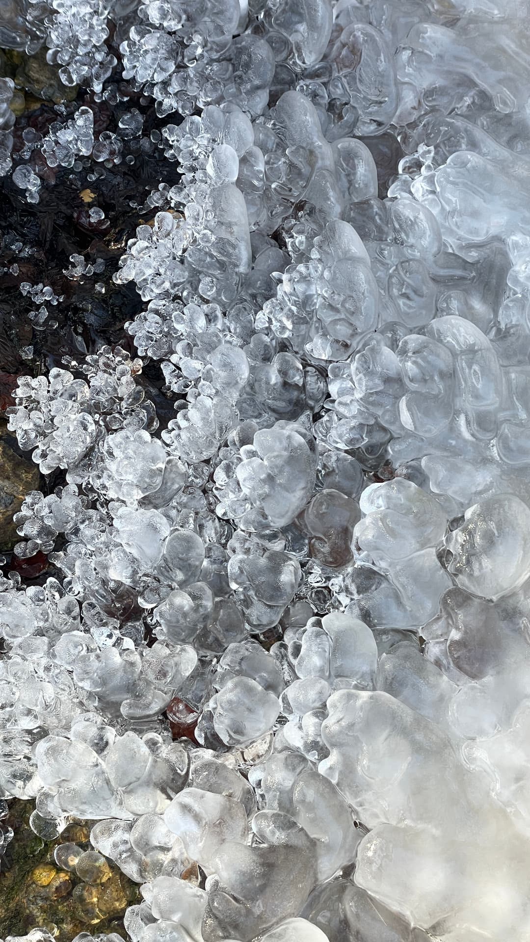 Amas de glace translucide