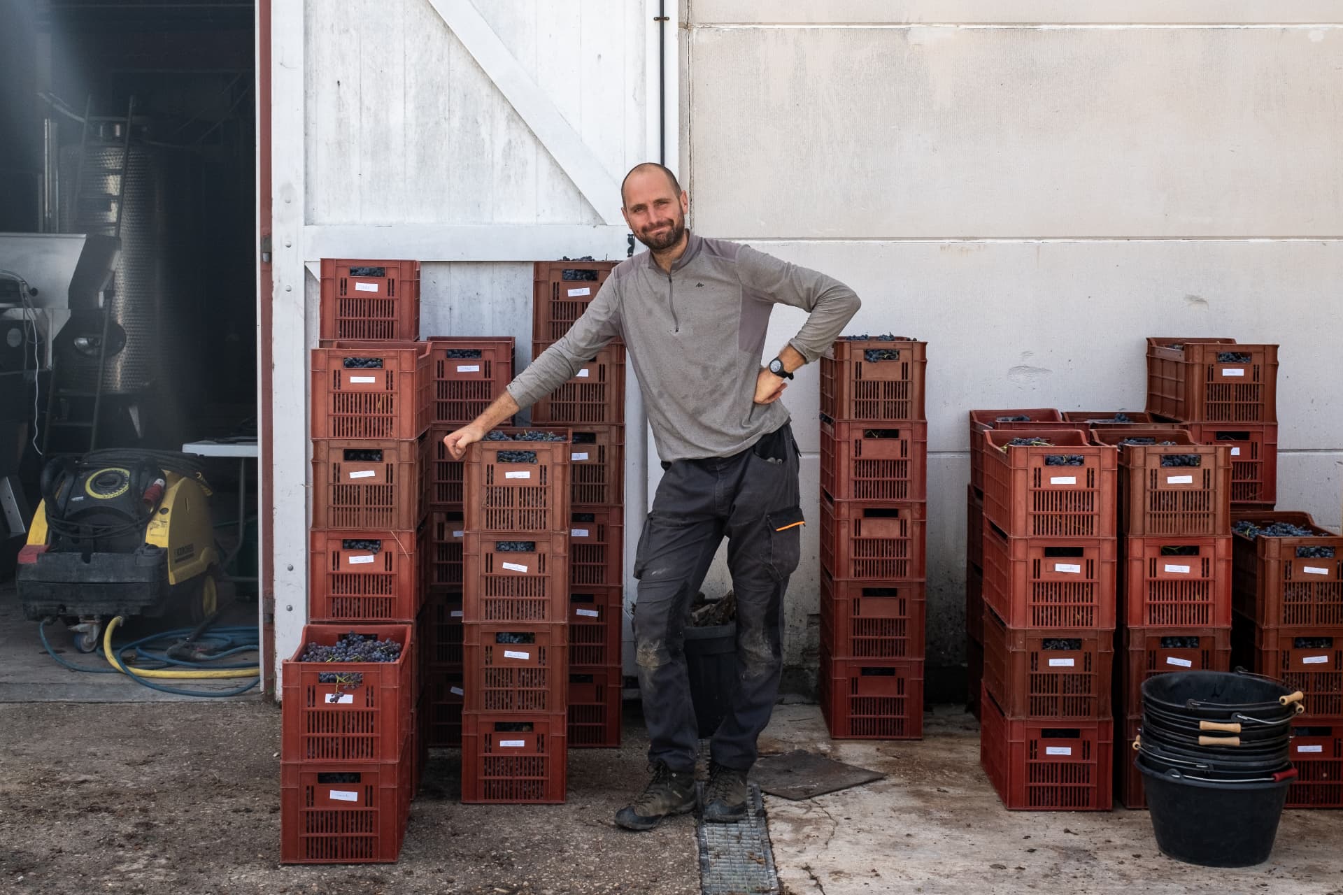 Thomas Lesage lors d'une journée de vendange, une main posée sur une pile de caisses de raisin