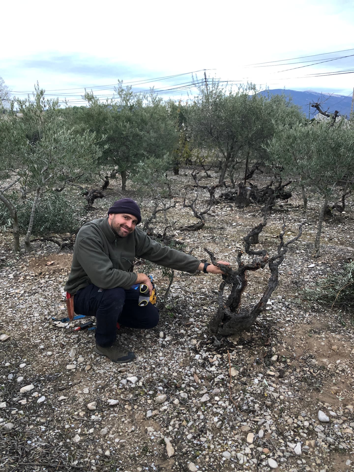 Thomas accroupi près d'un vieux cep